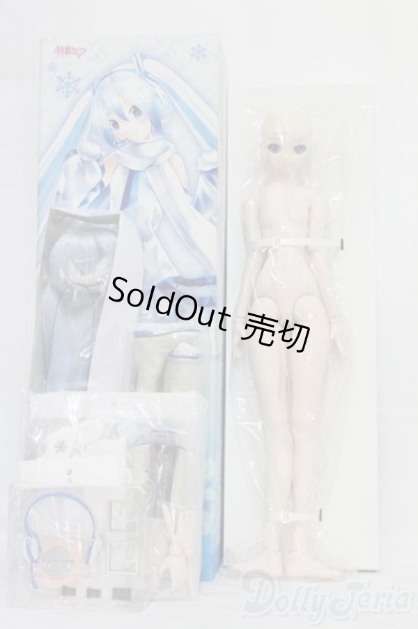 画像3: DD/雪ミク I-25-07-06-1007-YB-ZI (3)