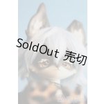 画像: coralreefdoll/Little Wolf Ow Woo Woo/BJD 球体関節人形 I-25-07-13-1003-KD-ZI