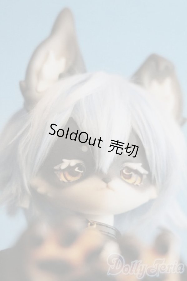 画像1: coralreefdoll/Little Wolf Ow Woo Woo/BJD　球体関節人形 I-25-07-13-1003-KD-ZI (1)