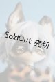画像: coralreefdoll/Little Wolf Ow Woo Woo/BJD　球体関節人形 I-25-07-13-1003-KD-ZI