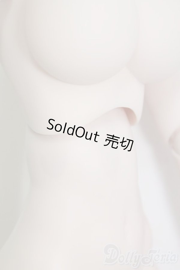 画像6: DD/ベースボディ(DD-f3)/BJD　球体関節人形 I-25-07-13-1001-KD-ZI (6)