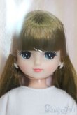 画像1: リカちゃん/きらちゃん/BJD　球体関節人形 I-25-07-13-1005-SK-ZI (1)