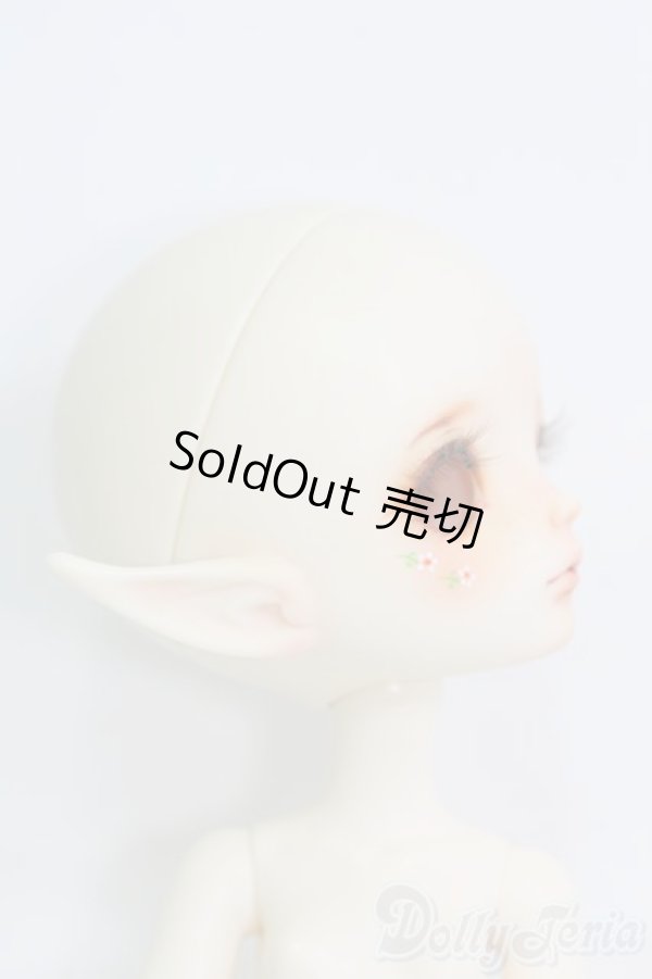 画像2: DOLL ZONE/Honey/BJD　球体関節人形 I-25-07-20-202-KD-ZI (2)