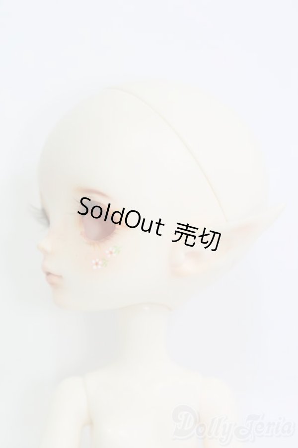 画像3: DOLL ZONE/Honey/BJD　球体関節人形 I-25-07-20-202-KD-ZI (3)