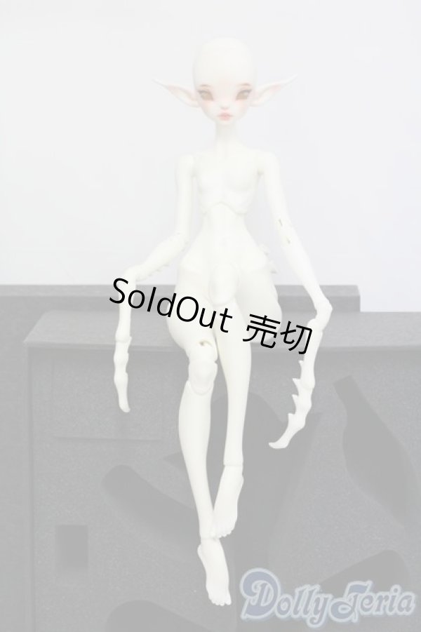 画像6: Coral Reef Doll/Opal　head/BJD　球体関節人形 I-25-07-20-201-KD-ZI (6)