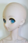 画像3: DDS/鏡音リン/BJD　球体関節人形 I-25-07-20-255-KD-ZI (3)