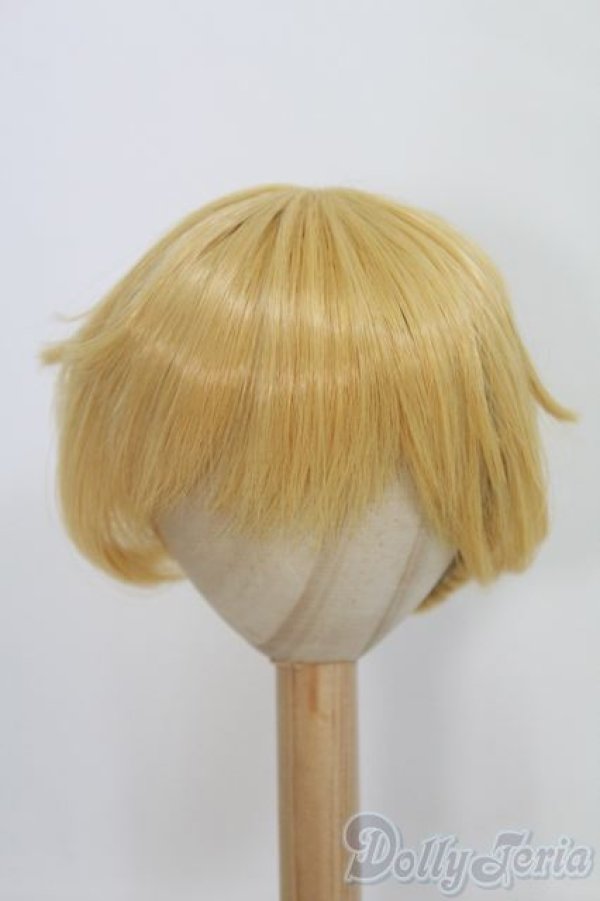 画像1: 8-9inch/アレン・ウィッグ　DDS鏡音レン「悪ノ召使」セット/インチ　BJD　MJD　ドール用 I-25-11-02-377-KD-ZI (1)