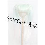 画像: 9-10inch/ウィッグ　ツーテール/インチ　BJD　MJD　ドール用 I-25-07-27-113-KD-ZI