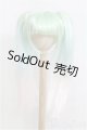 画像: 9-10inch/ウィッグ　ツーテール/インチ　BJD　MJD　ドール用 I-25-07-27-113-KD-ZI