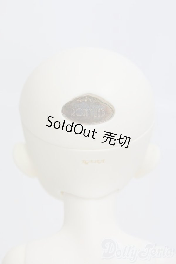 画像5: rosenlied/Holiday's Child Limited Bambi (ver. boy) - 8th Anniversay/BJD　球体関節人形 I-25-07-20-302-KD-ZI (5)