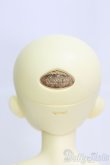 画像5: rosenlied/Holiday's Child Limited Bambi (ver. boy) - 8th Anniversay/BJD　球体関節人形 I-25-07-20-304-KD-ZI (5)