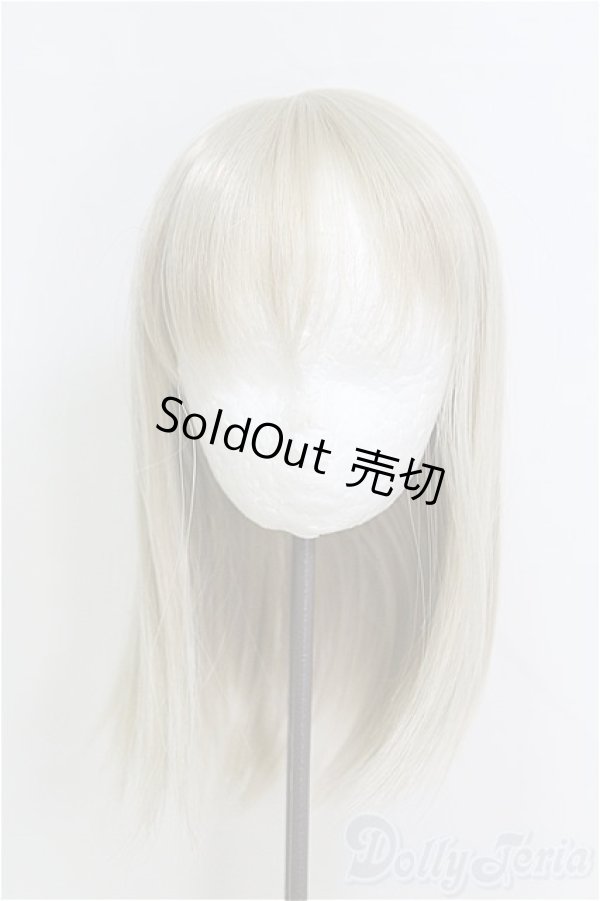 画像1: 8-9inch/ウィッグ：ロンシュカ様　レディセミロング/インチ　BJD　MJD　ドール用 I-26-01-18-323-KD-ZI (1)