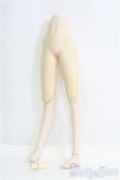 画像1: DDカスタムボディ/DDdy版やわ尻+下半身パーツ　ラジカル様 I-25-08-10-162-KD-ZI (1)