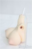 画像2: DD/シリコン胸パーツ　マンモ様製　50cmサイズ/萌乳タイプ/塗装有 I-25-08-10-160-KD-ZI (2)