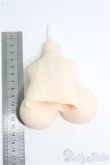 画像3: DD/シリコン胸パーツ　マンモ様製　50cmサイズ/萌乳タイプ/塗装有 I-25-08-10-160-KD-ZI (3)