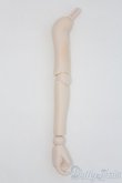 画像1: DD　上下腕パーツ+ハンドパーツ　片腕/BJD　球体関節人形 I-25-11-16-259-KD-ZI (1)