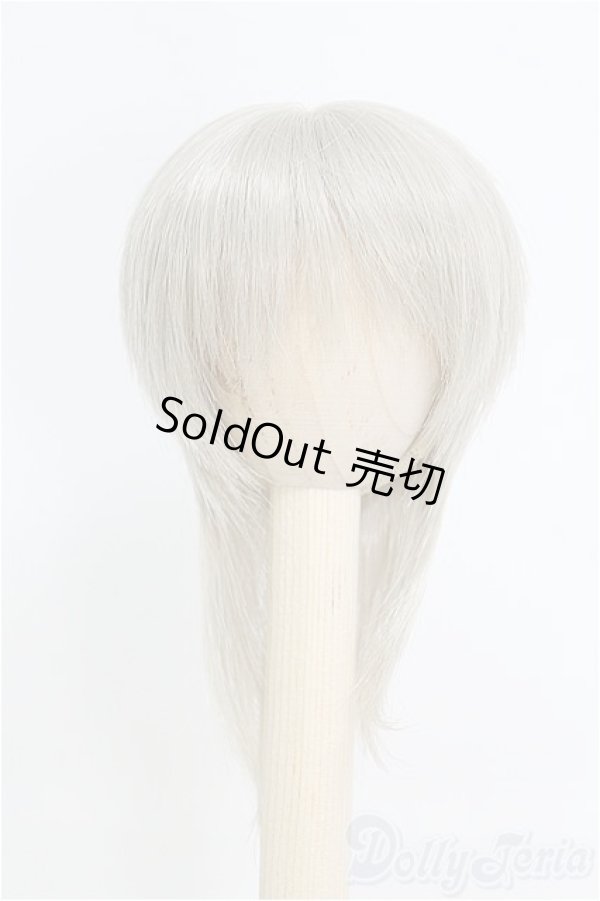 画像1: 6-7inch/ウィッグ/インチ　BJD　MJD　ドール用 I-25-07-27-119-SK-ZI (1)