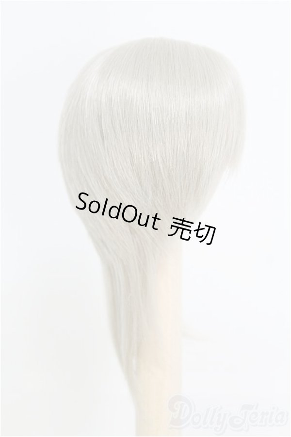 画像2: 6-7inch/ウィッグ/インチ　BJD　MJD　ドール用 I-25-07-27-119-SK-ZI (2)