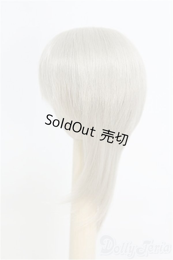画像3: 6-7inch/ウィッグ/インチ　BJD　MJD　ドール用 I-25-07-27-119-SK-ZI (3)