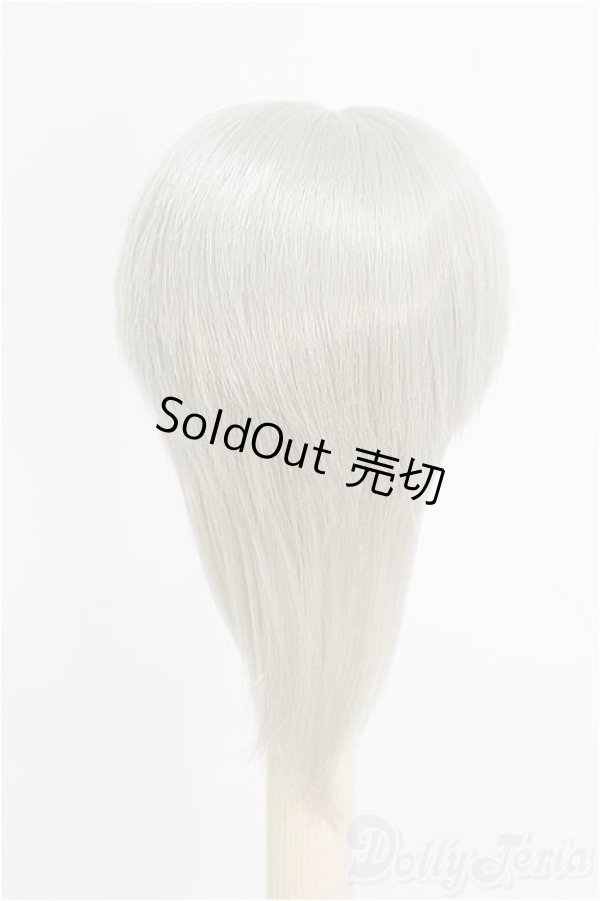 画像4: 6-7inch/ウィッグ/インチ　BJD　MJD　ドール用 I-25-07-27-119-SK-ZI (4)
