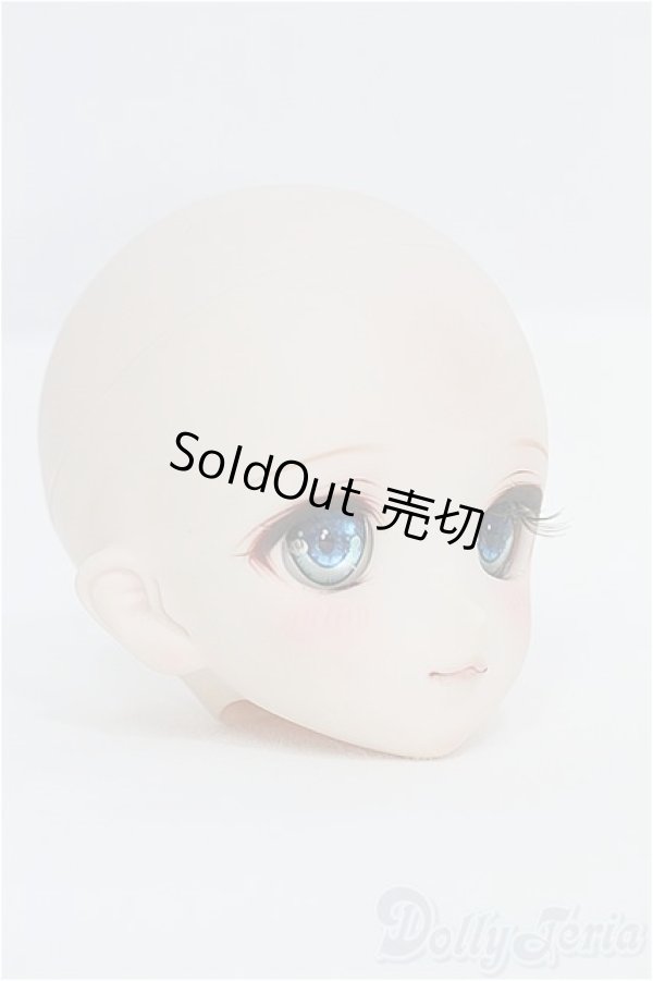 画像2: DD/DDH-06:m.t*様カスタムヘッド I-25-07-27-254-SK-ZI (2)