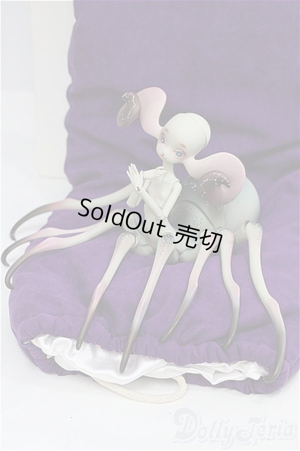 画像5: DOLL CHATEAU /Xaviera I-25-07-27-251-SK-ZI (5)