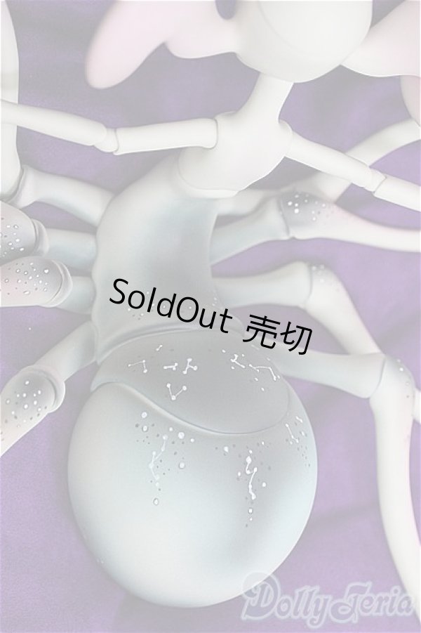 画像7: DOLL CHATEAU /Xaviera I-25-07-27-251-SK-ZI (7)