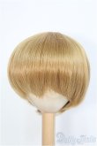 画像1: 9-10inch/ウィッグ　BJD　MJD　ドール用 I-25-07-27-396-KD-ZI (1)