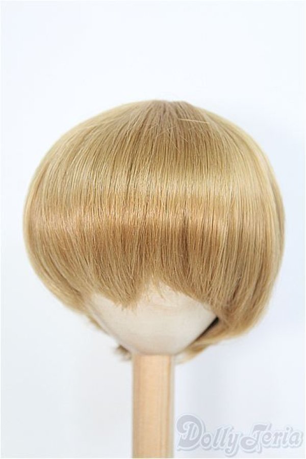 画像1: 9-10inch/ウィッグ　BJD　MJD　ドール用 I-25-07-27-396-KD-ZI (1)