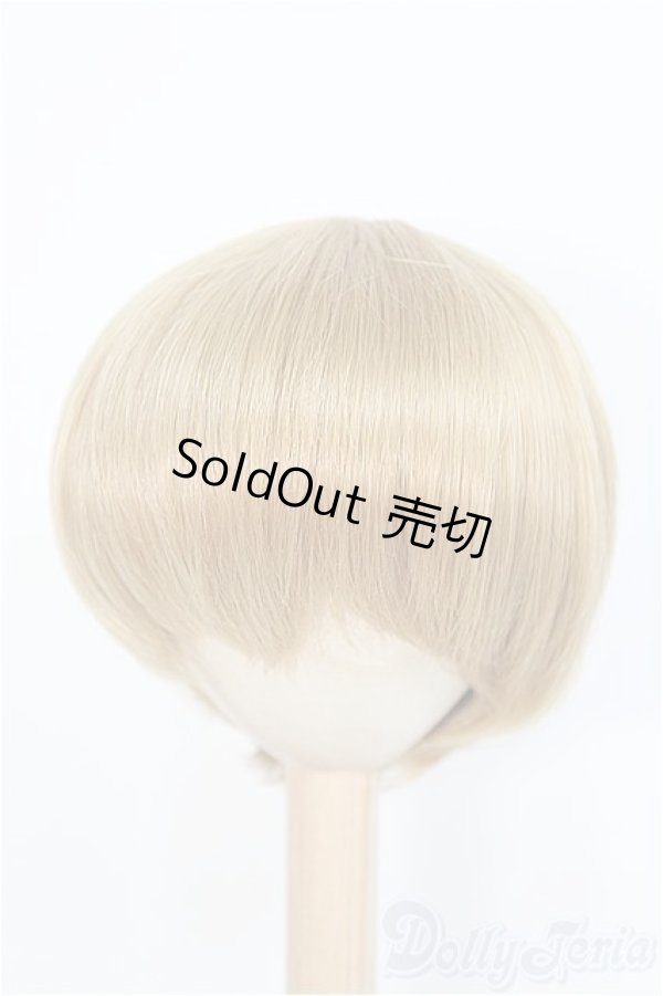 画像1: 9-10inch/ウィッグ　BJD　MJD　ドール用 I-25-07-27-396-KD-ZI (1)