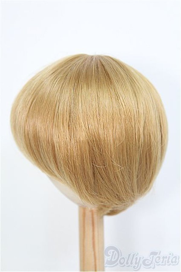 画像2: 9-10inch/ウィッグ　BJD　MJD　ドール用 I-25-07-27-396-KD-ZI (2)