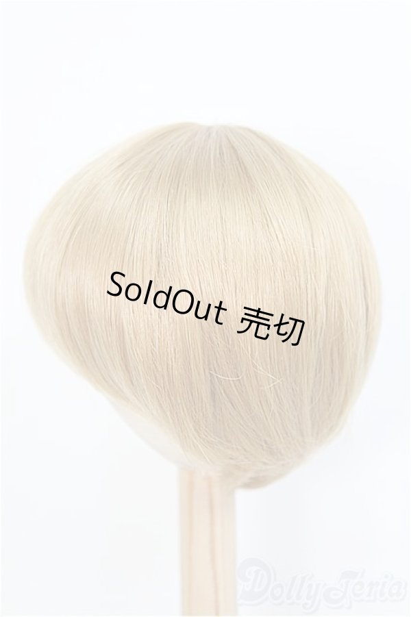 画像2: 9-10inch/ウィッグ　BJD　MJD　ドール用 I-25-07-27-396-KD-ZI (2)