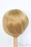 画像3: 9-10inch/ウィッグ　BJD　MJD　ドール用 I-25-07-27-396-KD-ZI (3)