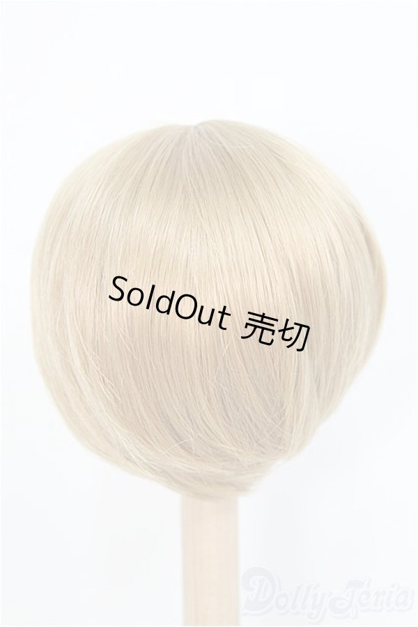 画像3: 9-10inch/ウィッグ　BJD　MJD　ドール用 I-25-07-27-396-KD-ZI (3)