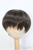 画像1: 8-9inch/ウィッグ　BJD　MJD　ドール用 I-25-07-27-392-KD-ZI (1)