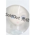 画像: ニアハルモニア キュリアス/ I-25-11-02-375-KD-ZI