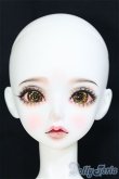 画像2: 【DOLK×Peak’s Woods】FOC Goldie - Iris ver. Limited - Special Reissue/BJD 球体関節人形 I-25-07-27-400-SK-ZI (2)