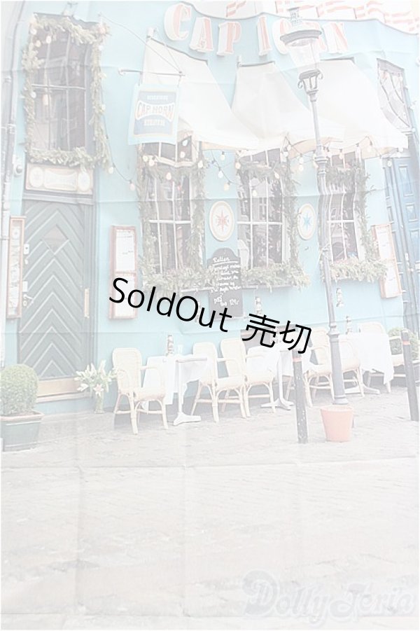 画像1: DD/背景布２点セット/0 I-25-11-02-194-KD-ZI (1)