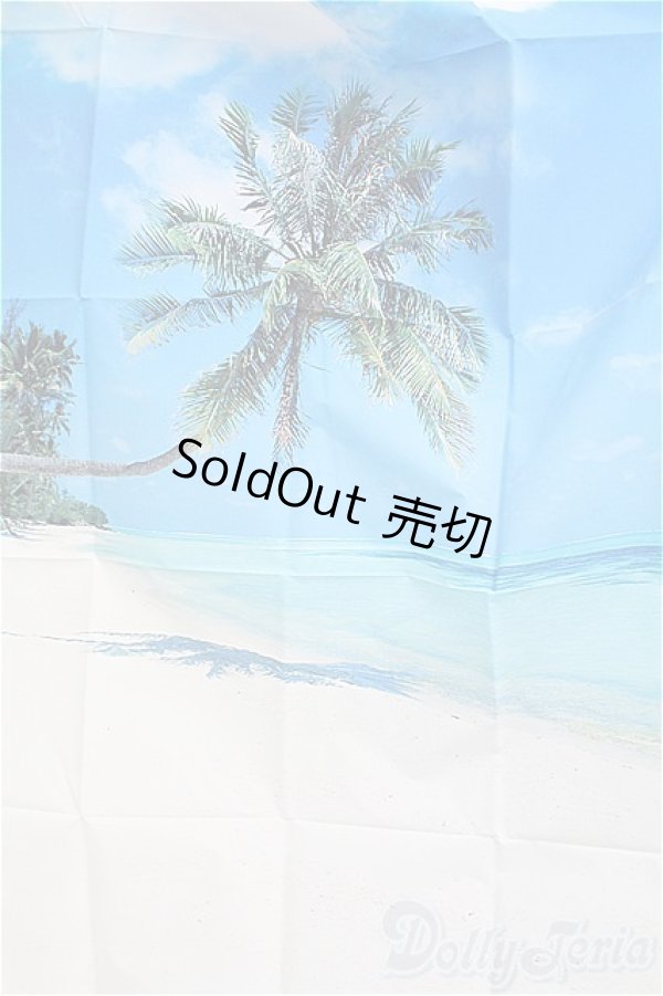 画像2: DD/背景布２点セット/0 I-25-11-02-194-KD-ZI (2)