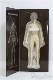 画像2: JIAOU DOLL/1:6 seamless female body/0 I-25-11-02-376-KD-ZI (2)