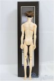 画像6: PetWORKS/六分の一男子図鑑 書房のナイン　本体のみ I-25-08-03-271-KD-ZI (6)