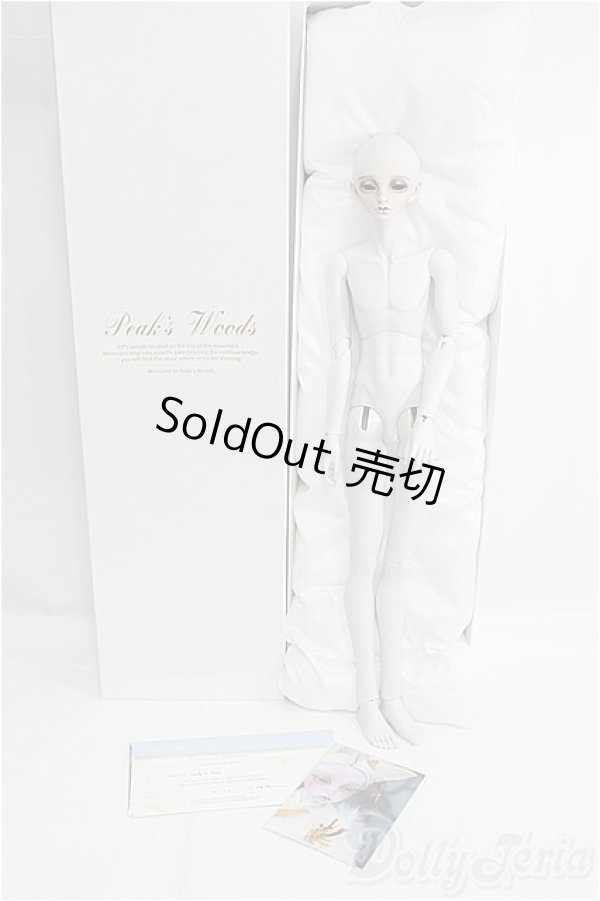 画像6: Peaks Woods/FOC Vampire Dandy Seize_Gentle Monsters/ I-25-11-02-383-KD-ZI (6)