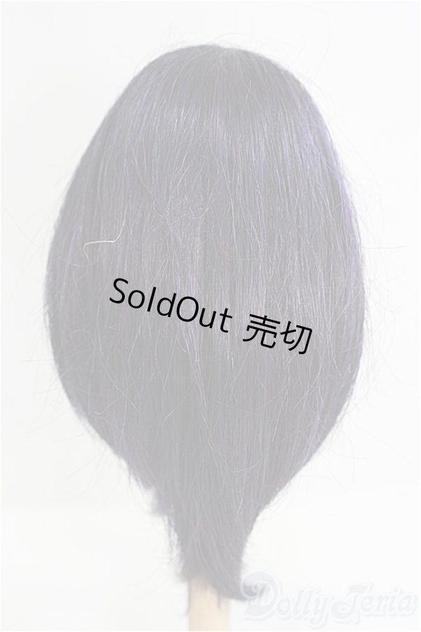 画像2: 7inch/ウィッグ：Zephr製 I-25-08-10-197-KD-ZI (2)