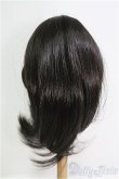 画像2: 9-10inch/ウィッグ I-25-08-10-199-KD-ZI (2)