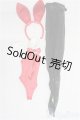 画像: DD/OF:衣装セット　バニーガール I-25-08-17-026-KD-ZI