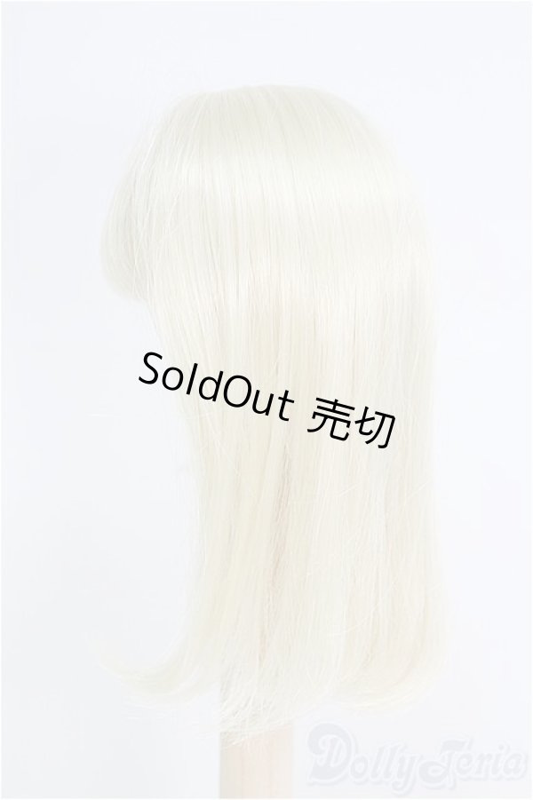 画像3: 6.5-7inch/ウィッグ　DOLKセレクト/インチ　BJD　MJD　ドール用 I-25-08-17-148-KD-ZI (3)