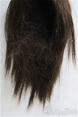 画像3: 7-8inch/ウィッグ/インチ　BJD　MJD　ドール用 I-25-08-17-149-KD-ZI (3)