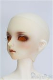 画像3: SDM男の子/F-35　コーディネートモデル/BJD　球体関節人形 I-25-08-17-105-KD-ZI (3)