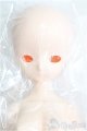 画像: IMOMODOLL/1/4ヘッド+女の子ボディ/BJD　球体関節人形 I-25-08-17-200-KD-ZI