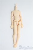 画像1: azone/1/12ピコニーモS/男の子ボディ/0 I-25-08-17-246-KD-ZI (1)